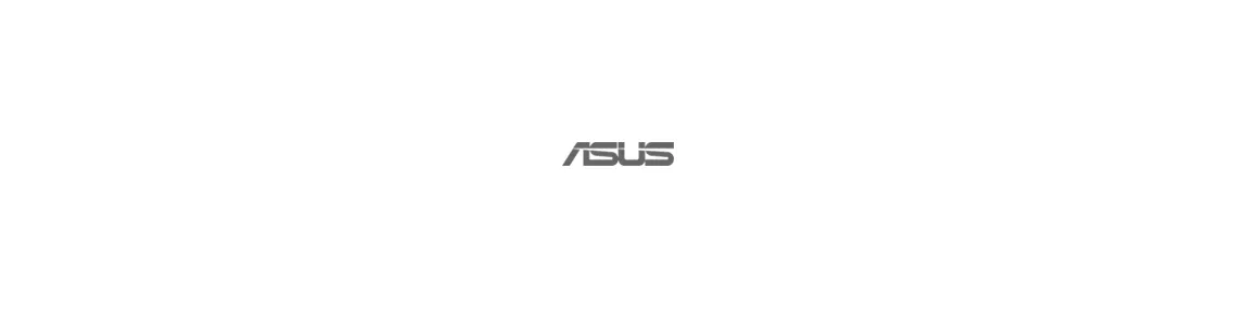 Serveurs Asus